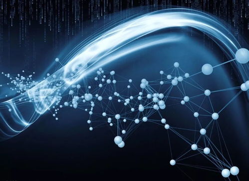 攜手共進 中歐關系穩中向好，以網絡信息技術賦能人類命運共同體