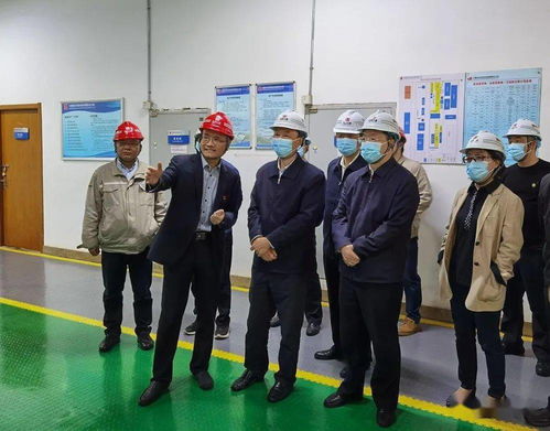 省人大常委會赴我區(qū)調研固體廢物污染治理工作